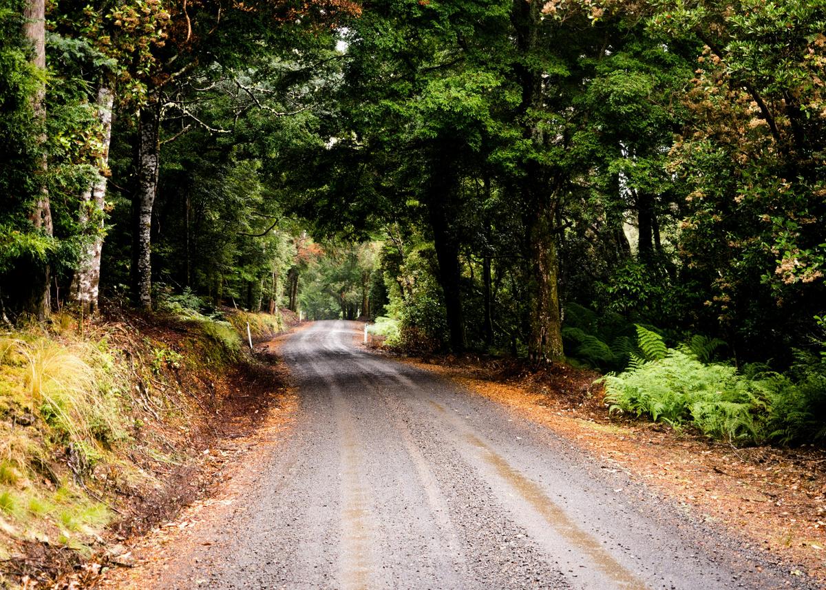 Ultimate Gravel Tour of Tasmania