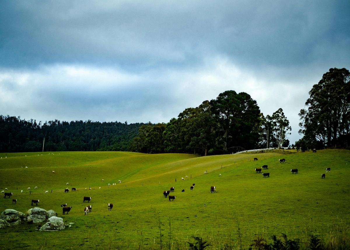 Ultimate Gravel Tour of Tasmania