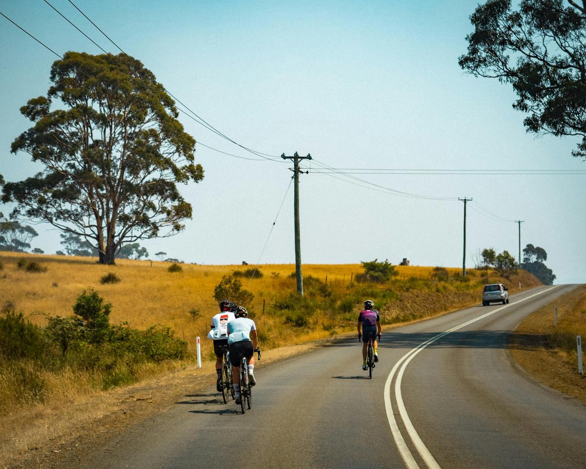 Huon Valley Tour