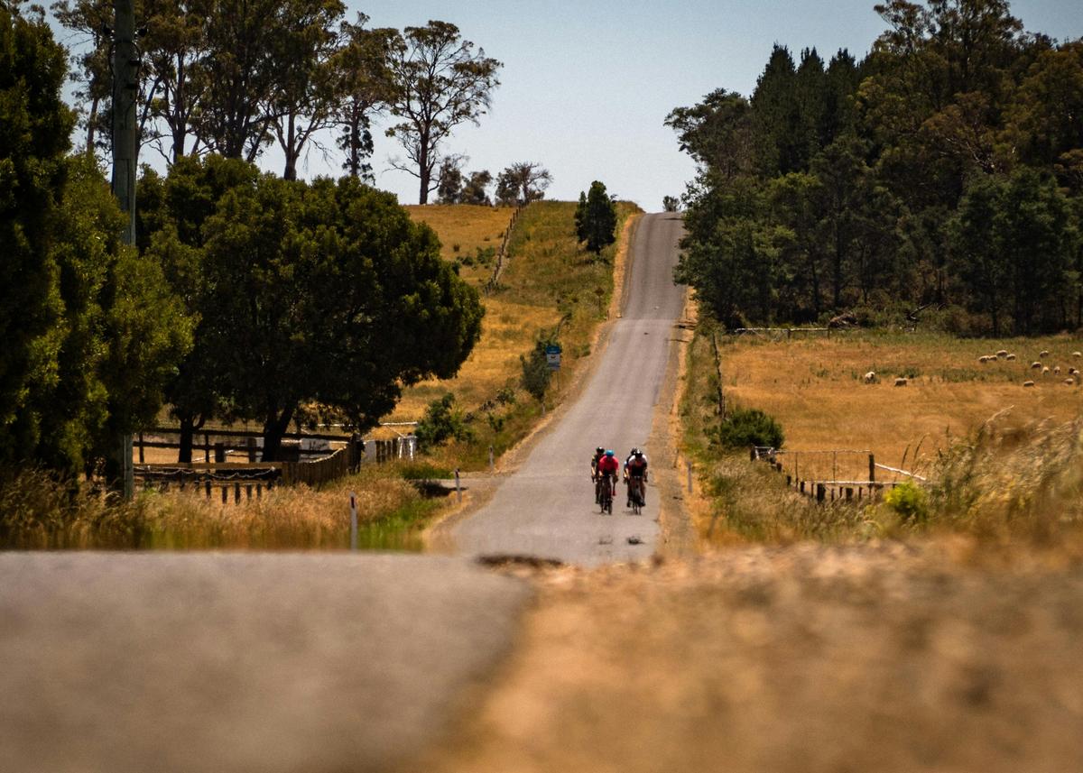 Meander Valley Tour