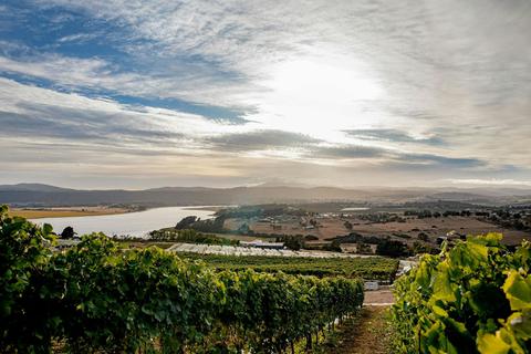 Evenfall Restaurant and Cellar Door