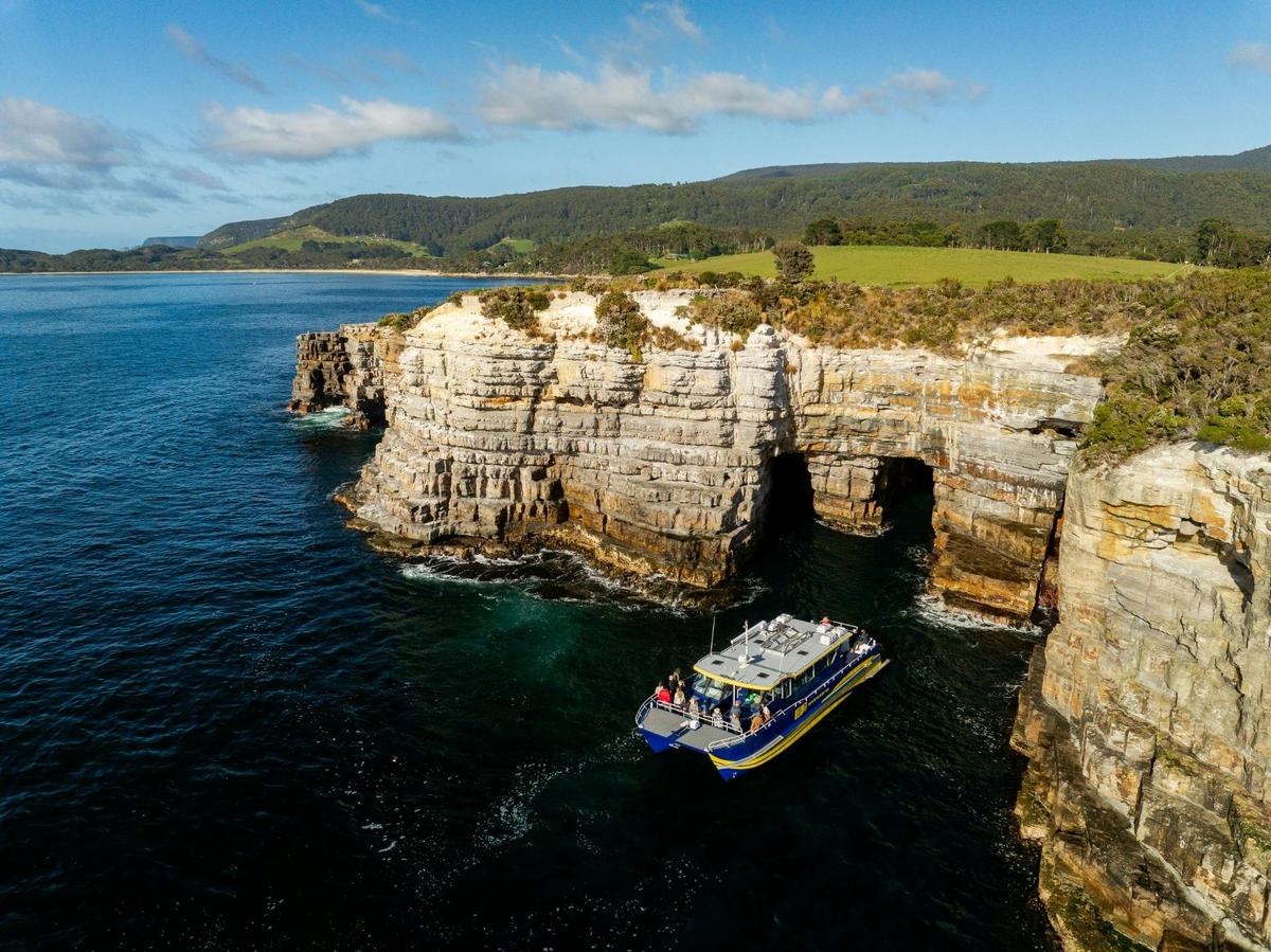 Cape Raoul Cruise
