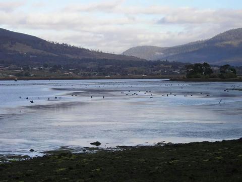 Bridgewater Foreshore Walking Trail