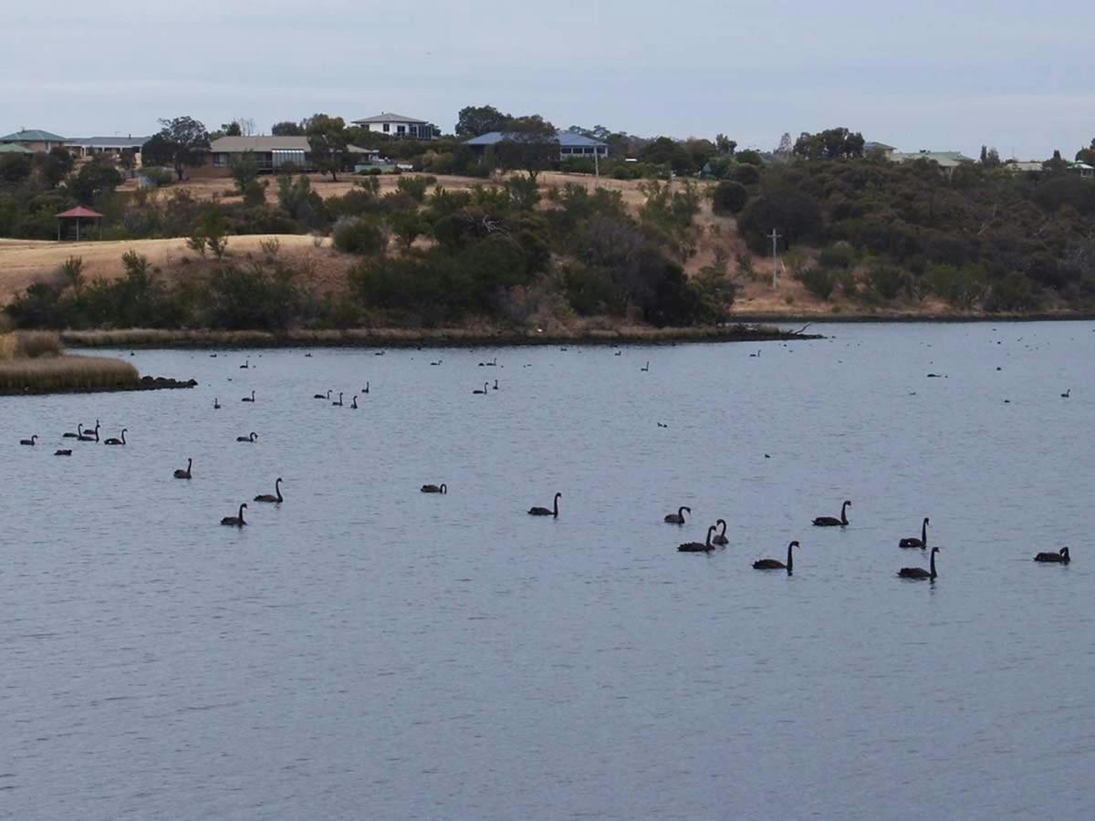 Bridgewater Foreshore Trail