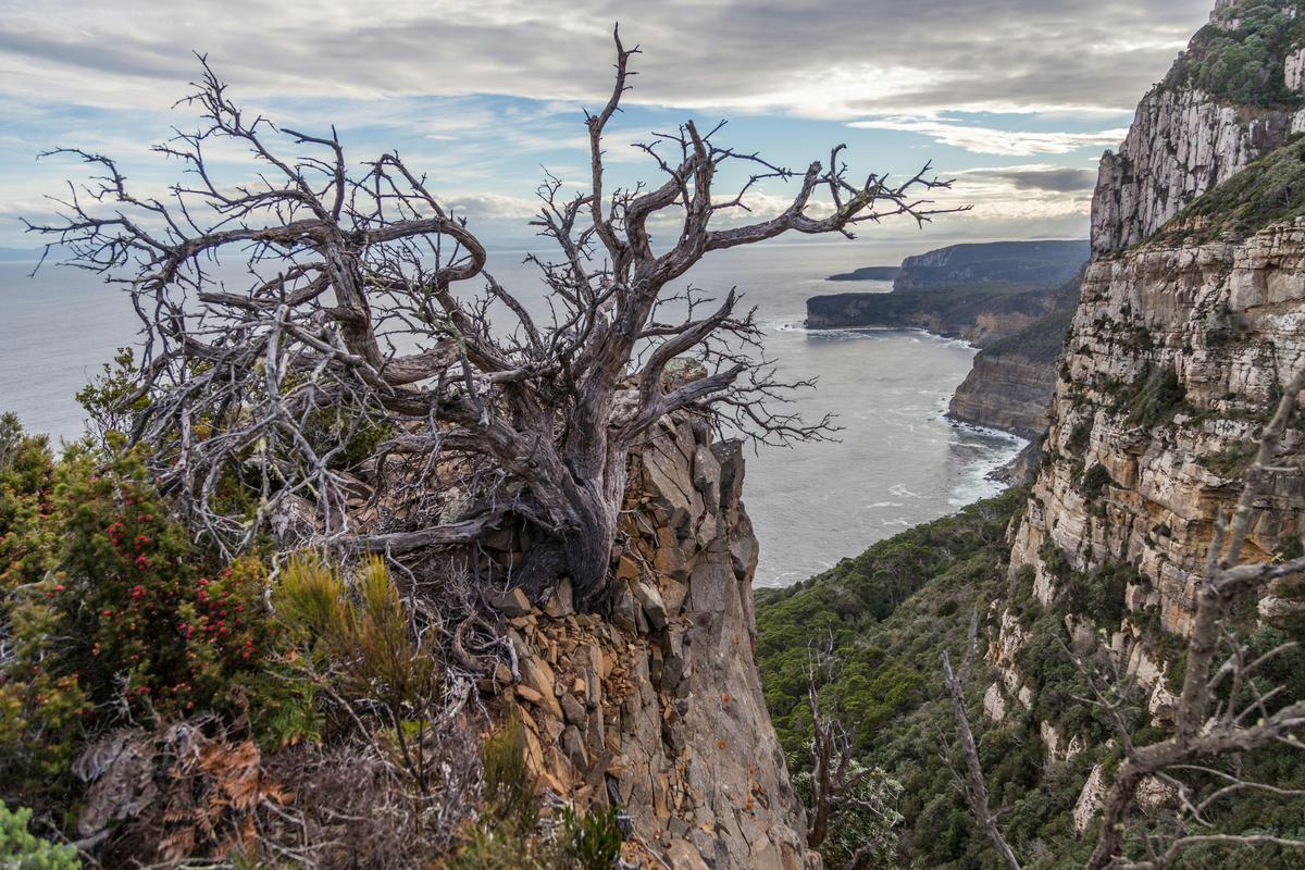 Cape Raoul