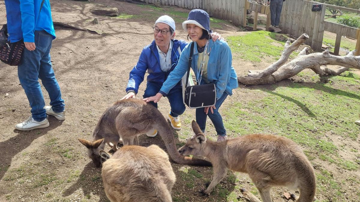 eGuide  - Tasmania Tours and Shore Excursions