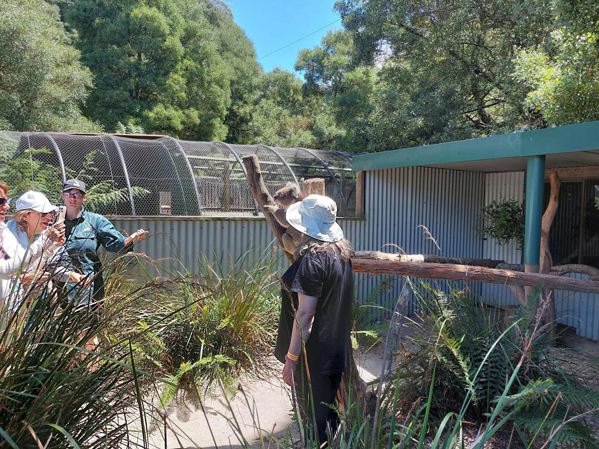 Wings Wildlife Park Shuttle: Burnie Shore Excursion