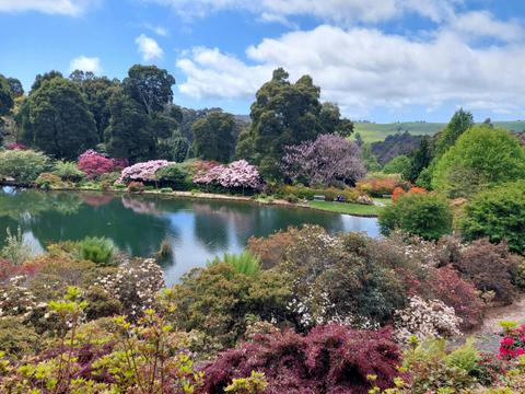 Discover Tasmania: Burnie Shore excursion
