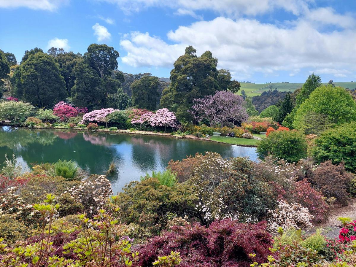 Discover Tasmania: Burnie Shore excursion
