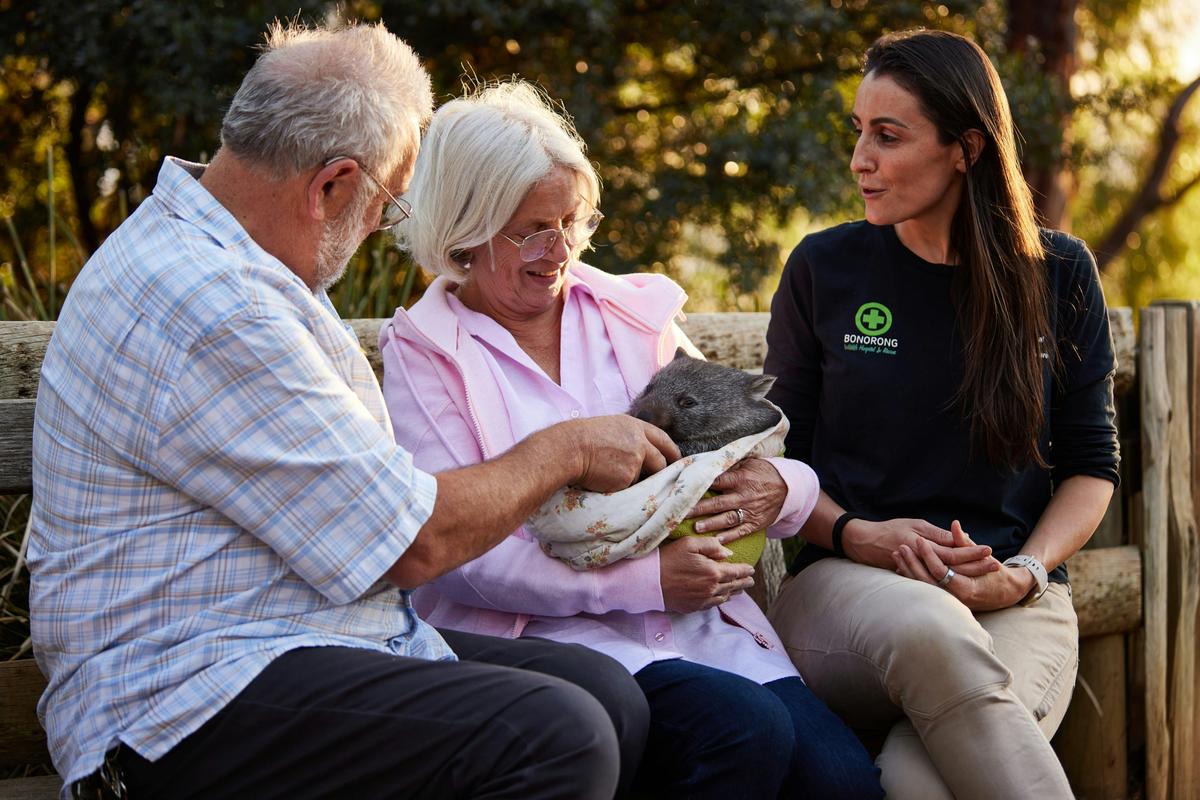 Bonorong Wildlife Sanctuary Shuttle: Hobart Shore Excursion