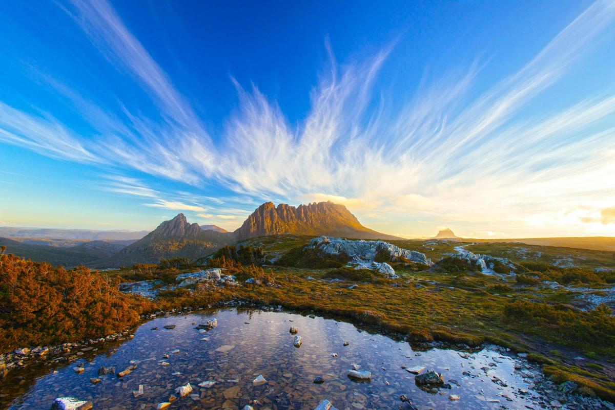 Cradle Mountain Tour from Launceston or Devonport
