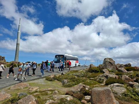 Mount Wellington: Hobart Shore Excursion
