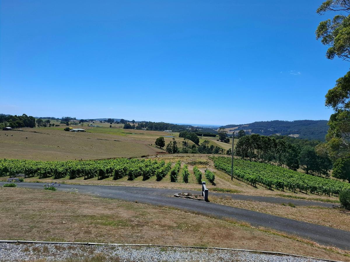 Burnie Shore Excursion: Tasting Trail Tour