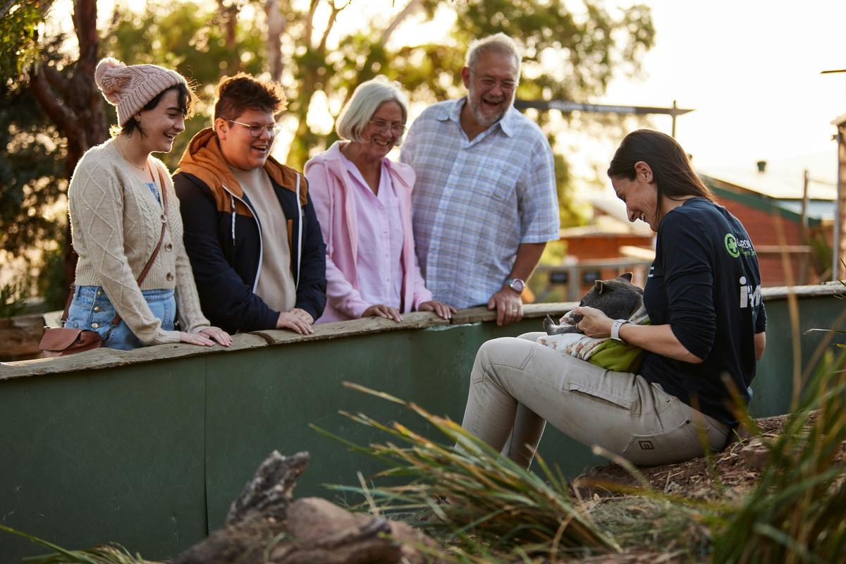 Bonorong Wildlife Sanctuary Shuttle: Hobart Shore Excursion