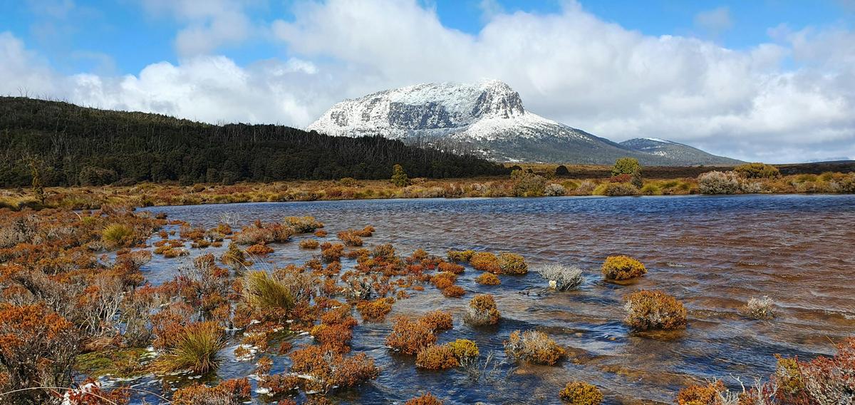 Cradle Mountain: Burnie Shore Excursion