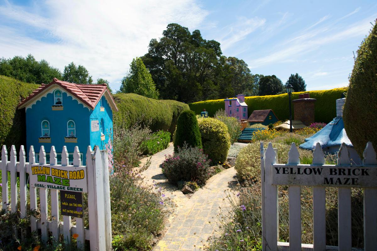 Devonport Private Half Day Tour