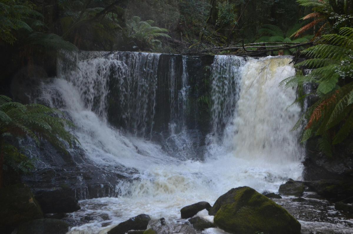 Discover Tasmania: Burnie Shore excursion