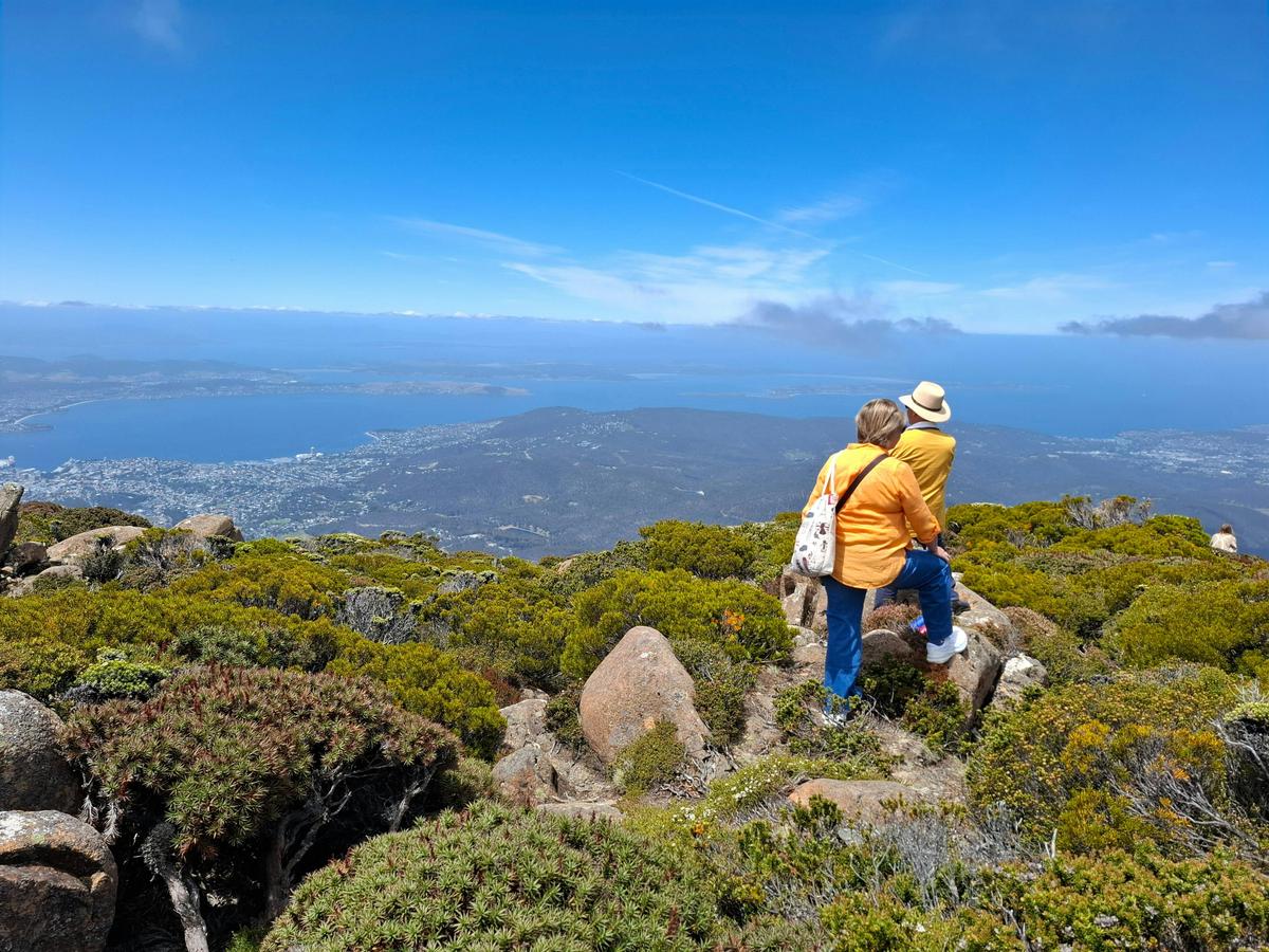 Hobart Highlights and Mount Wellington: Hobart Shore Excursion