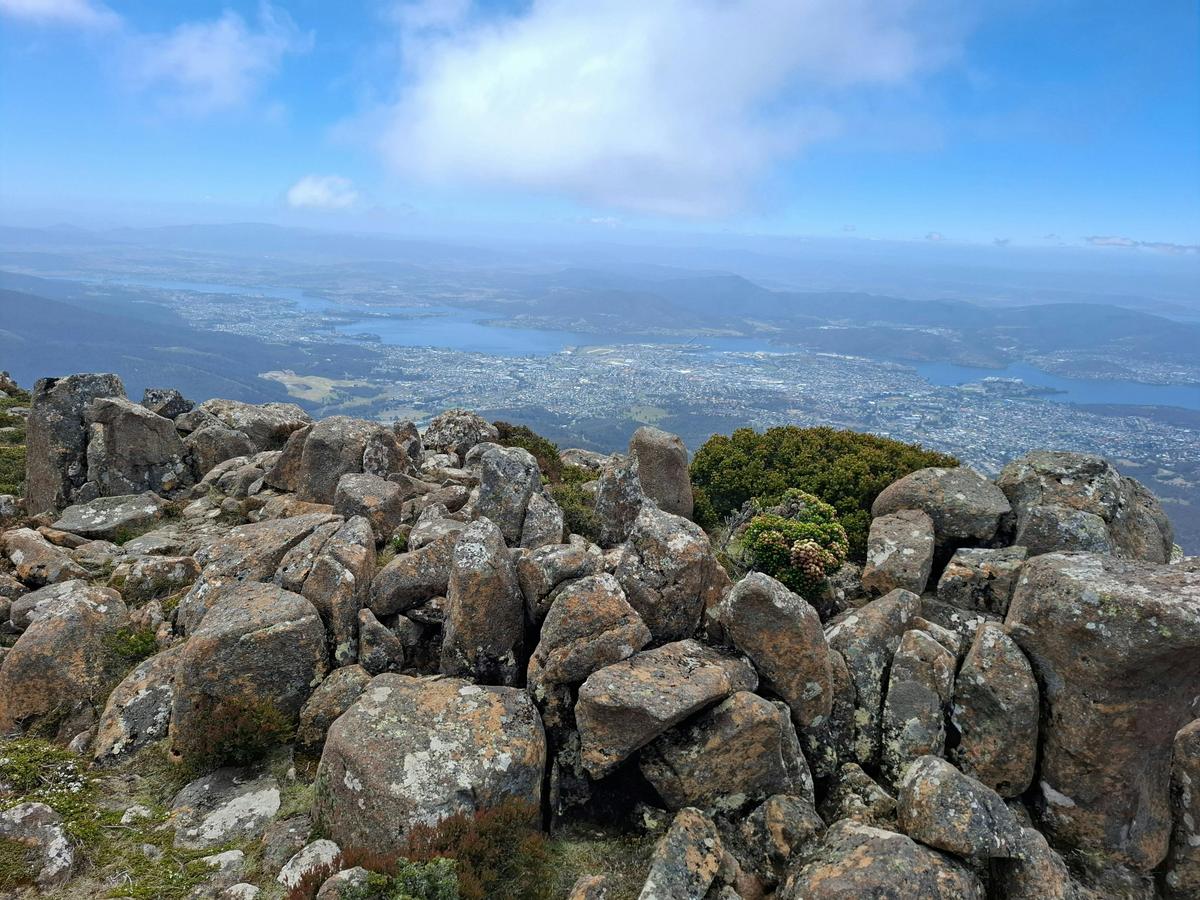 Mount Wellington: Hobart Shore Excursion