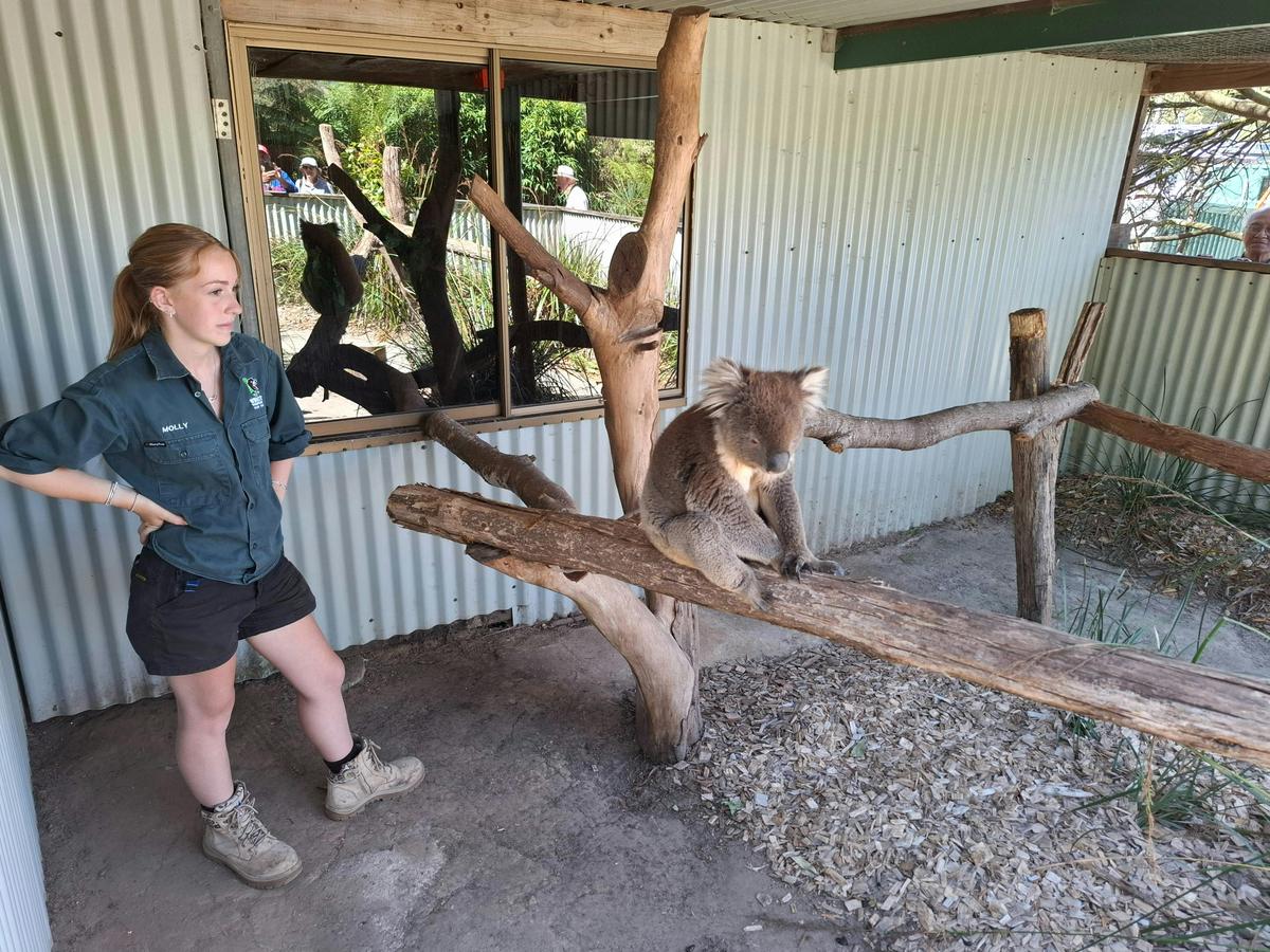 Discover Tasmania: Burnie Shore excursion