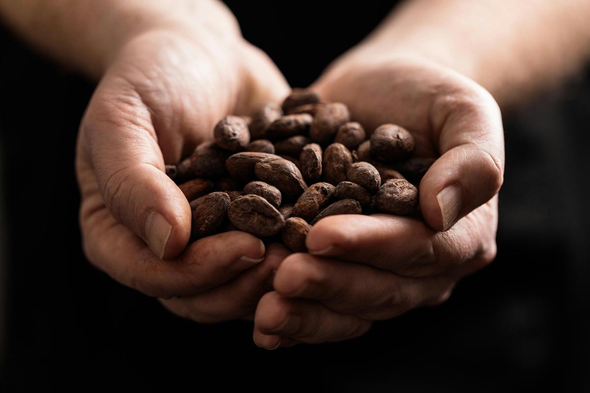 Federation Chocolate make their chocolate in Tasmania  from bean all the way to the bar