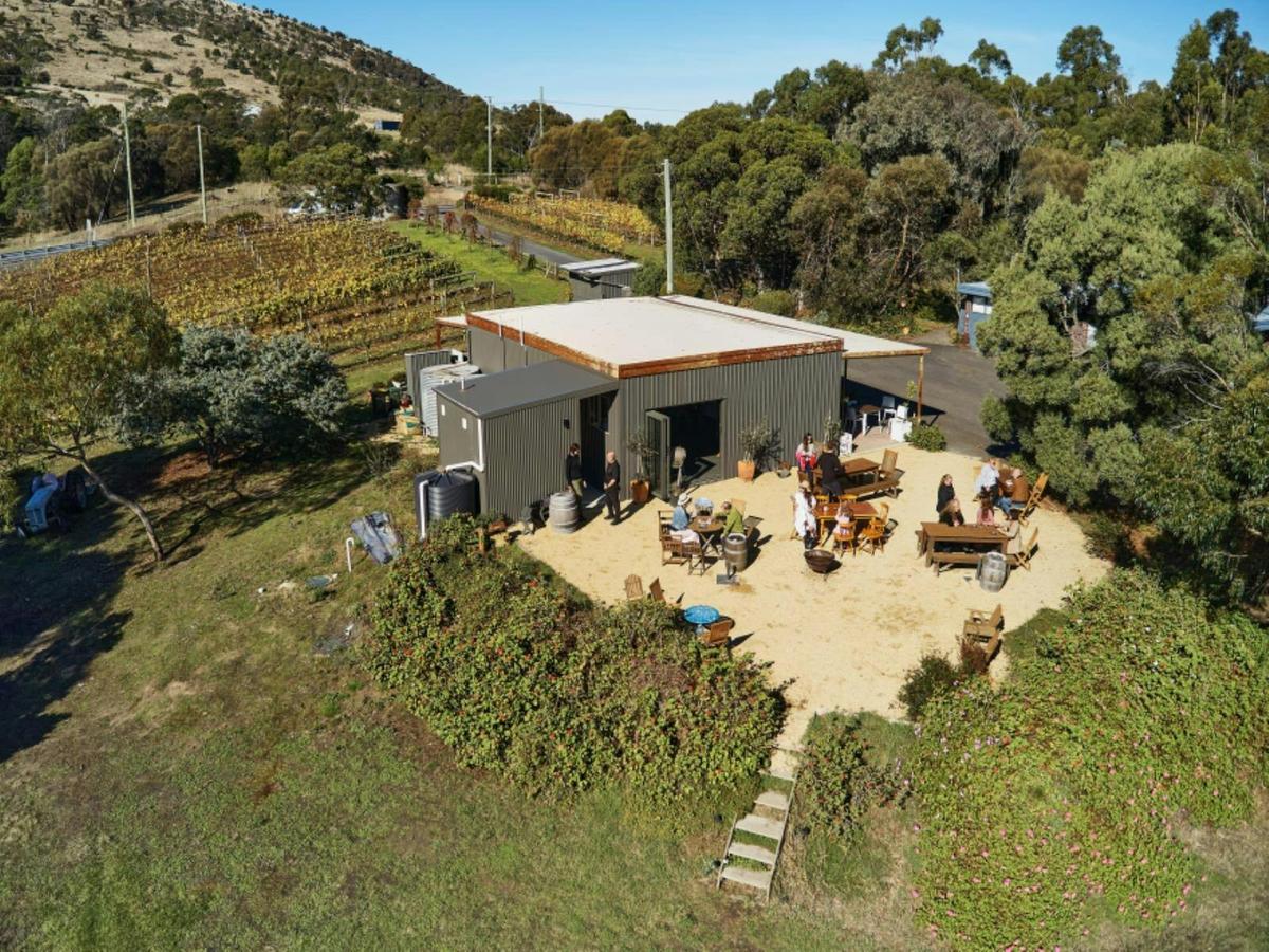 Every Man and His Dog Vineyard Home to Federation Chocolate
