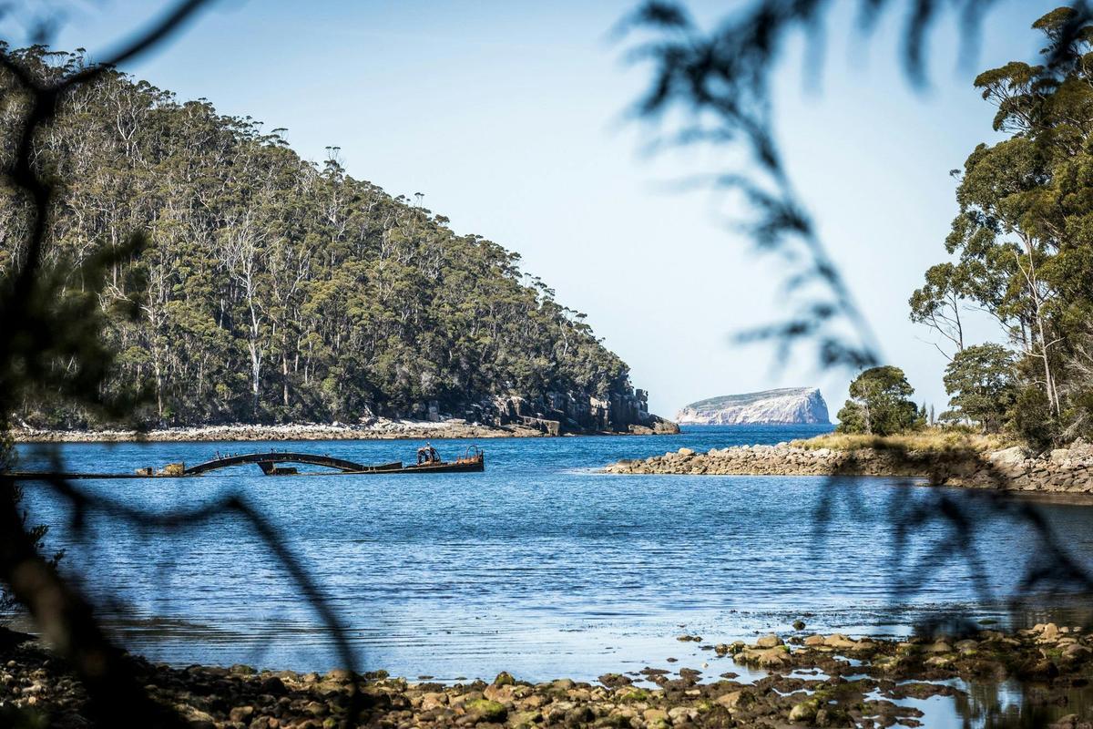 An image showing views from the forest to Canoe Bay and cliffs and coastline beyond