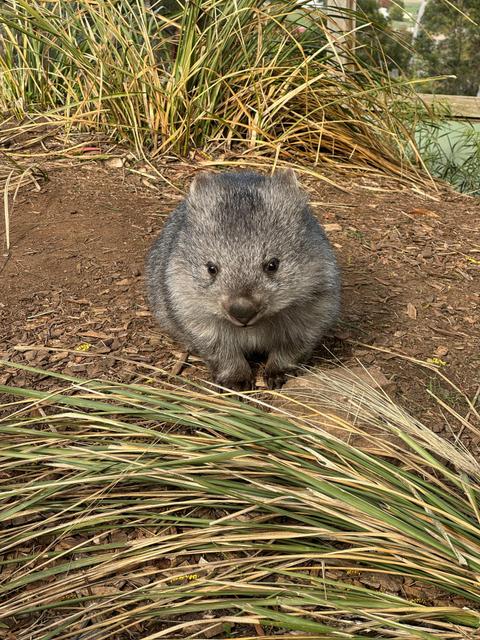 Tasmania Bespoke Private Tour