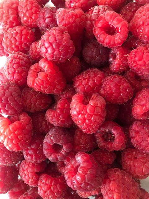 Bruny Island Raspberry Farm