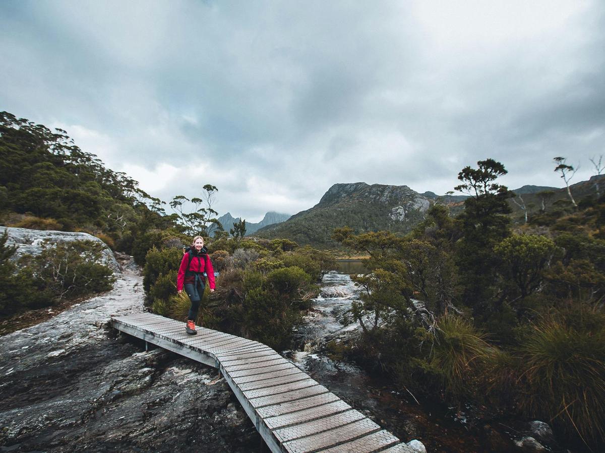 Cradle Mountain National Park Tour