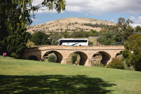 Tasmanian Devils and Richmond Tour