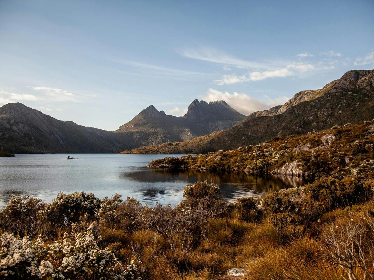 Cradle Mountain National Park Tour