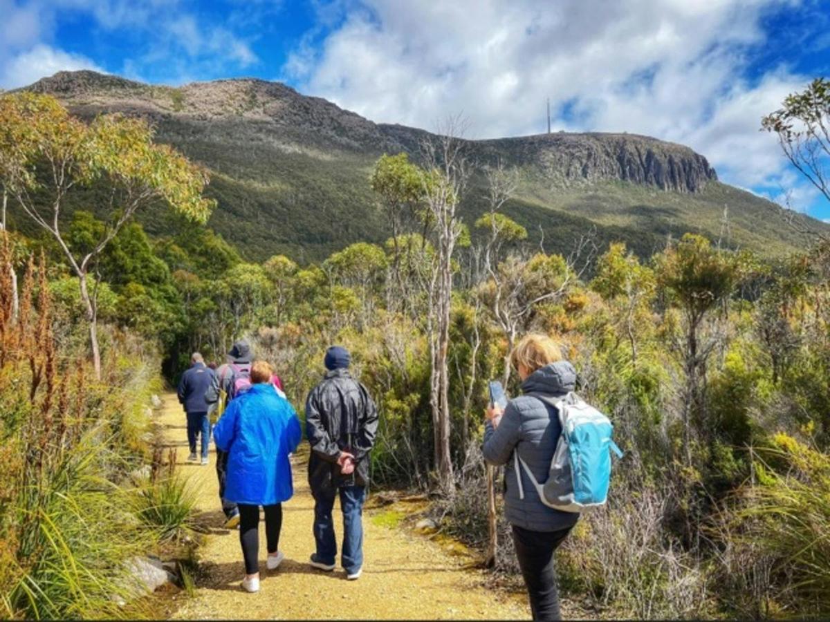 kunanyi/Mt Wellington Ultimate Experience