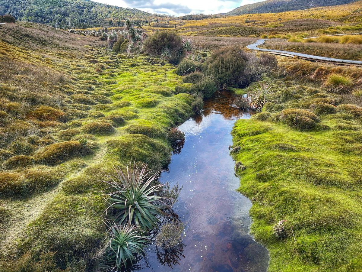 Cradle Mountain National Park Tour