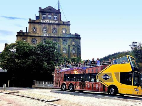 Open Topper City Tour -Cruise Ship Shore excursion
