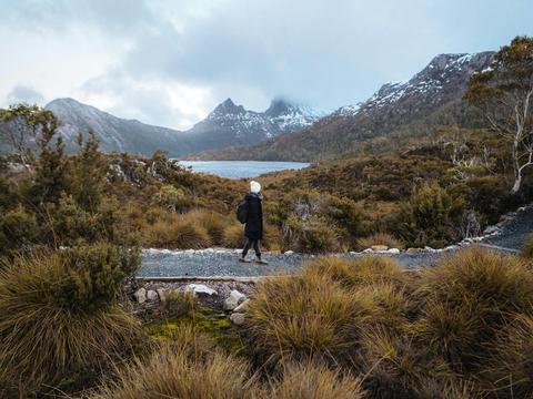 Cradle Mountain National Park Tour