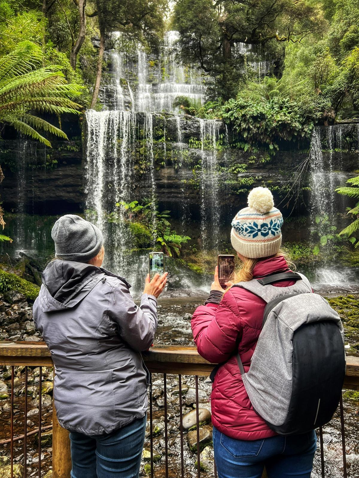 Immerse yourself in wilderness and waterfalls on this amazing tour of Mt Field National Park
