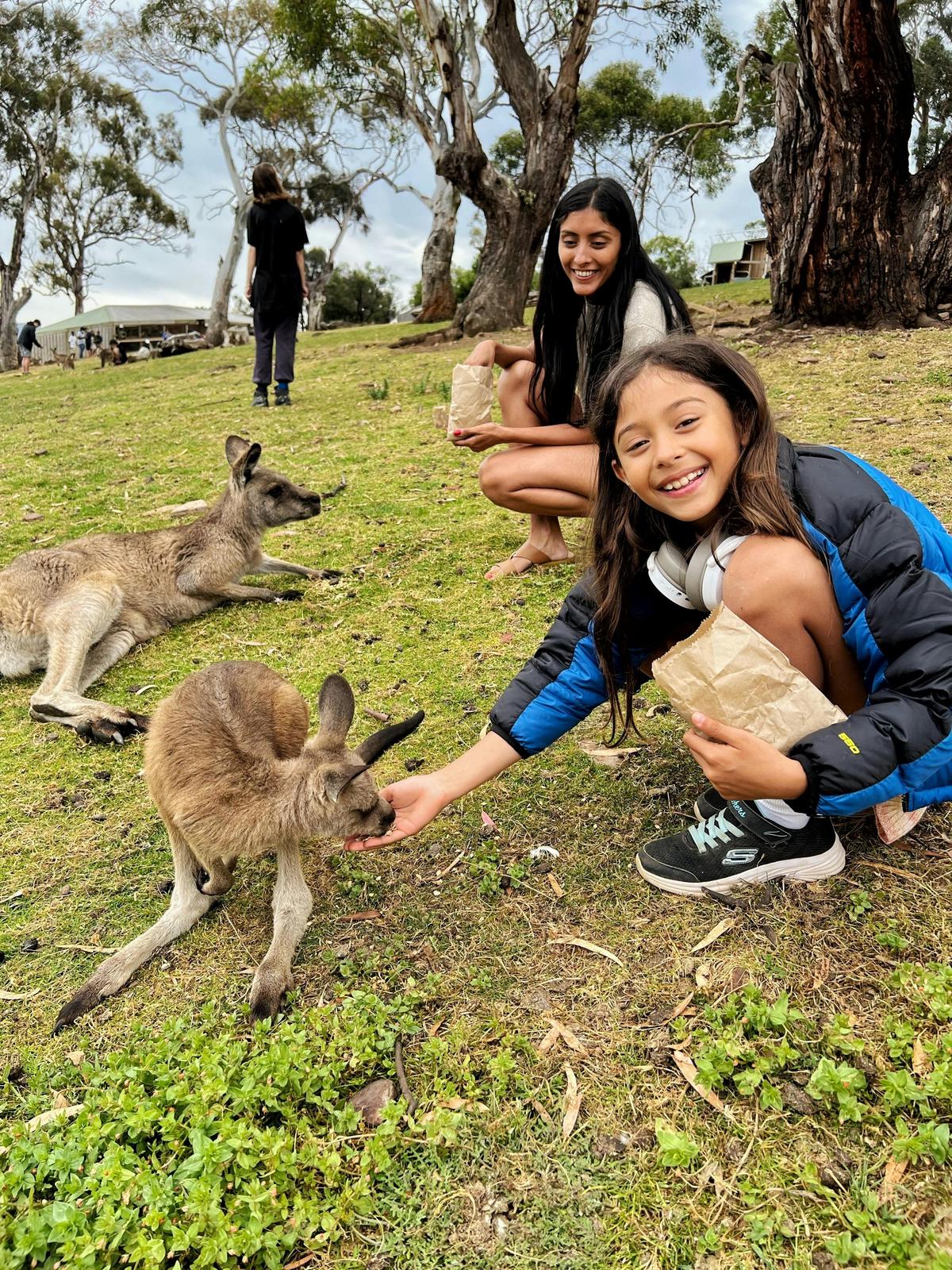 Tasmanian Devils and Richmond Tour