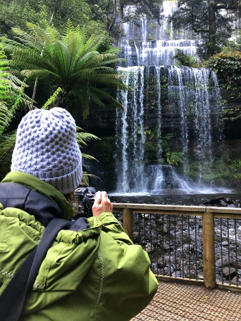 Mt Field National Park with Russell Falls & Bonorong Wildlife Sanctuary