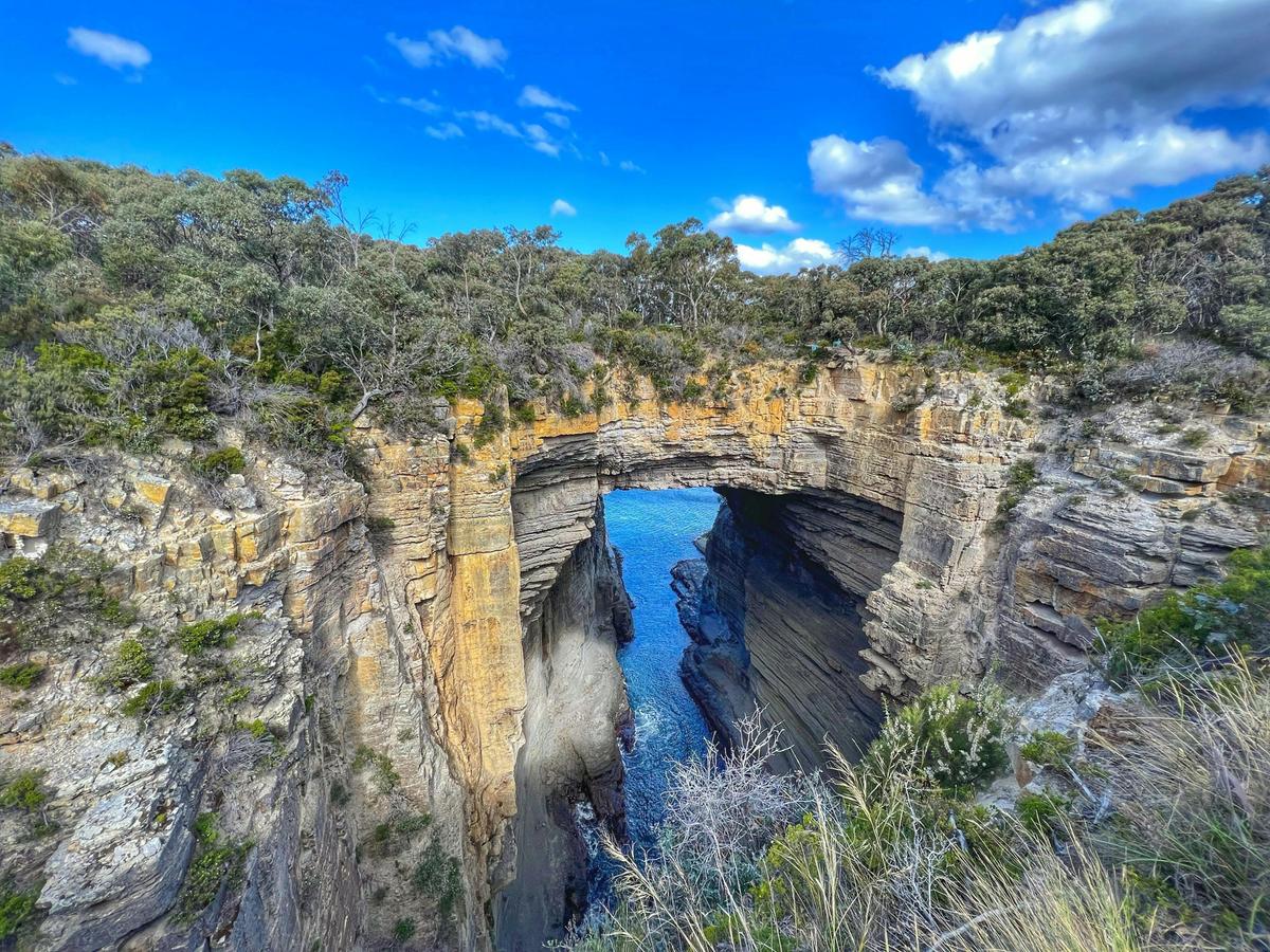 Port Arthur and Salamanca Market Tour