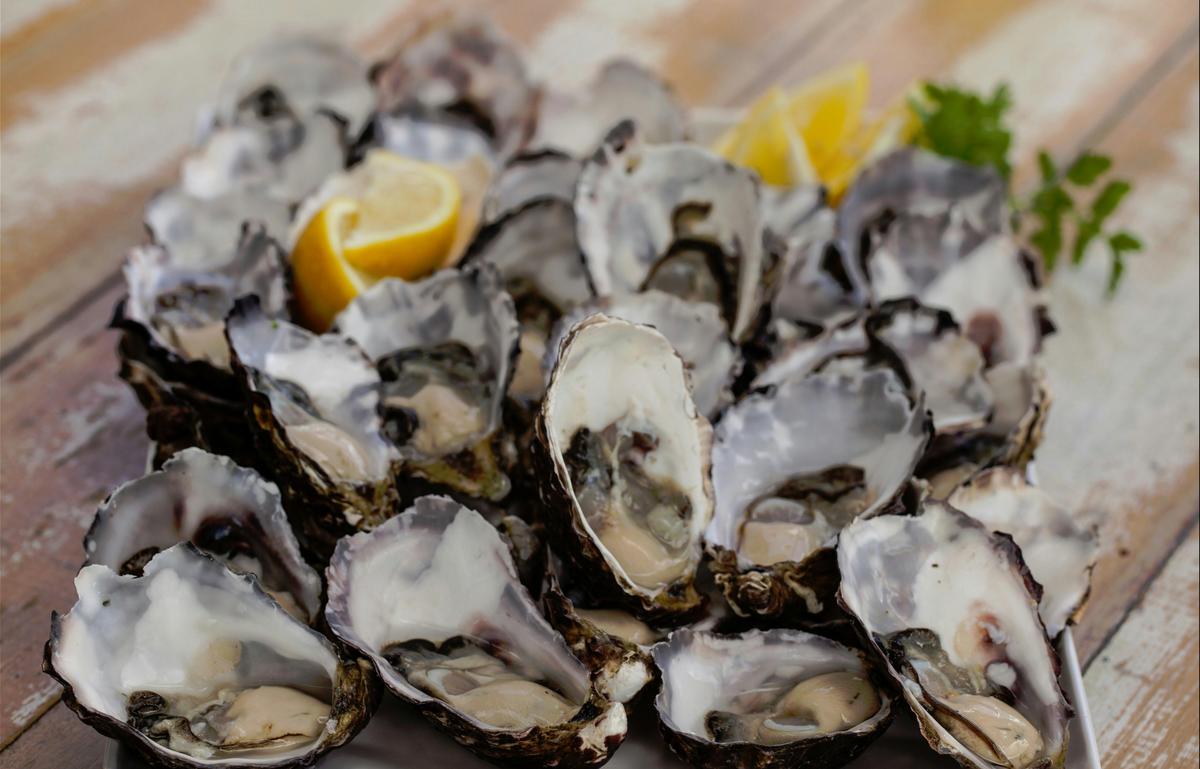 Freshly Shucked Oysters