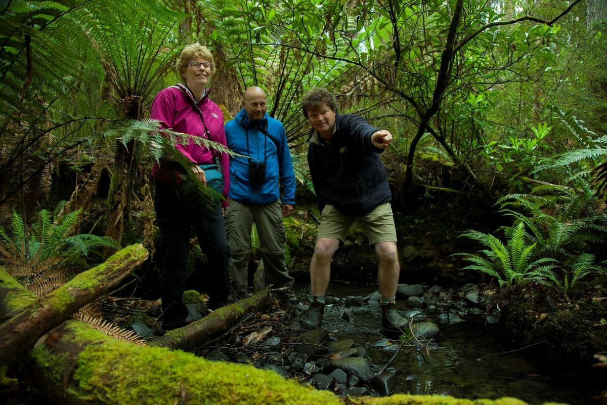Bruny Island Traveller