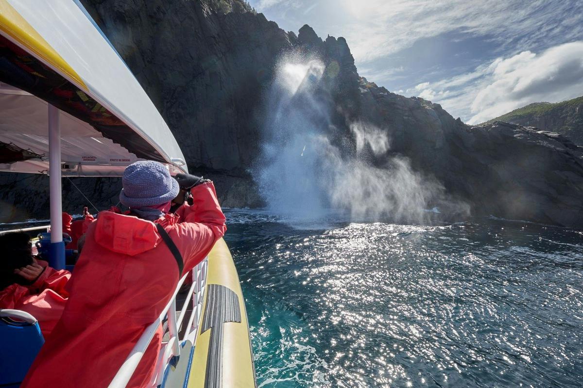 Bruny Island Wilderness Cruise