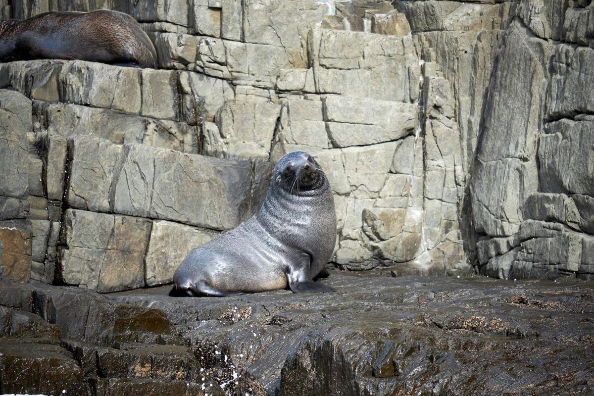 Full Day Tour from Hobart