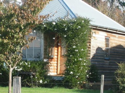 Pea in a Pod Cottage
