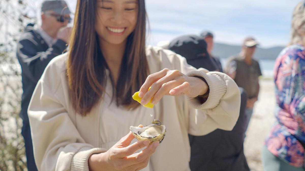 Taste freshly shucked oysters at Morning Tea