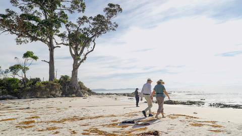 Bruny Island Gourmet Food, Sightseeing & Lighthouse Tour