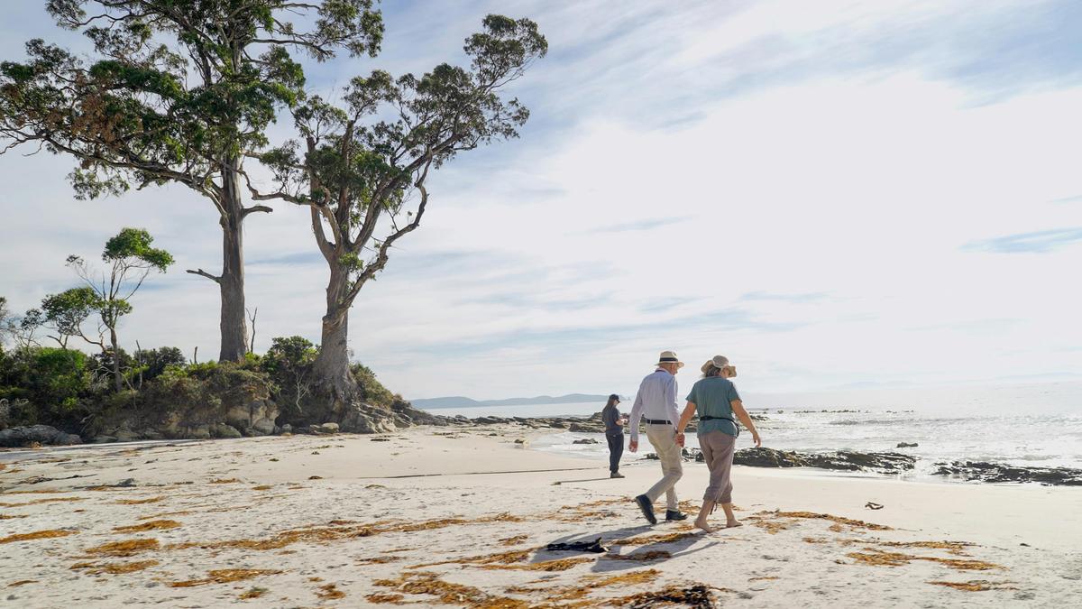Bruny Island Gourmet Food, Sightseeing & Lighthouse Tour