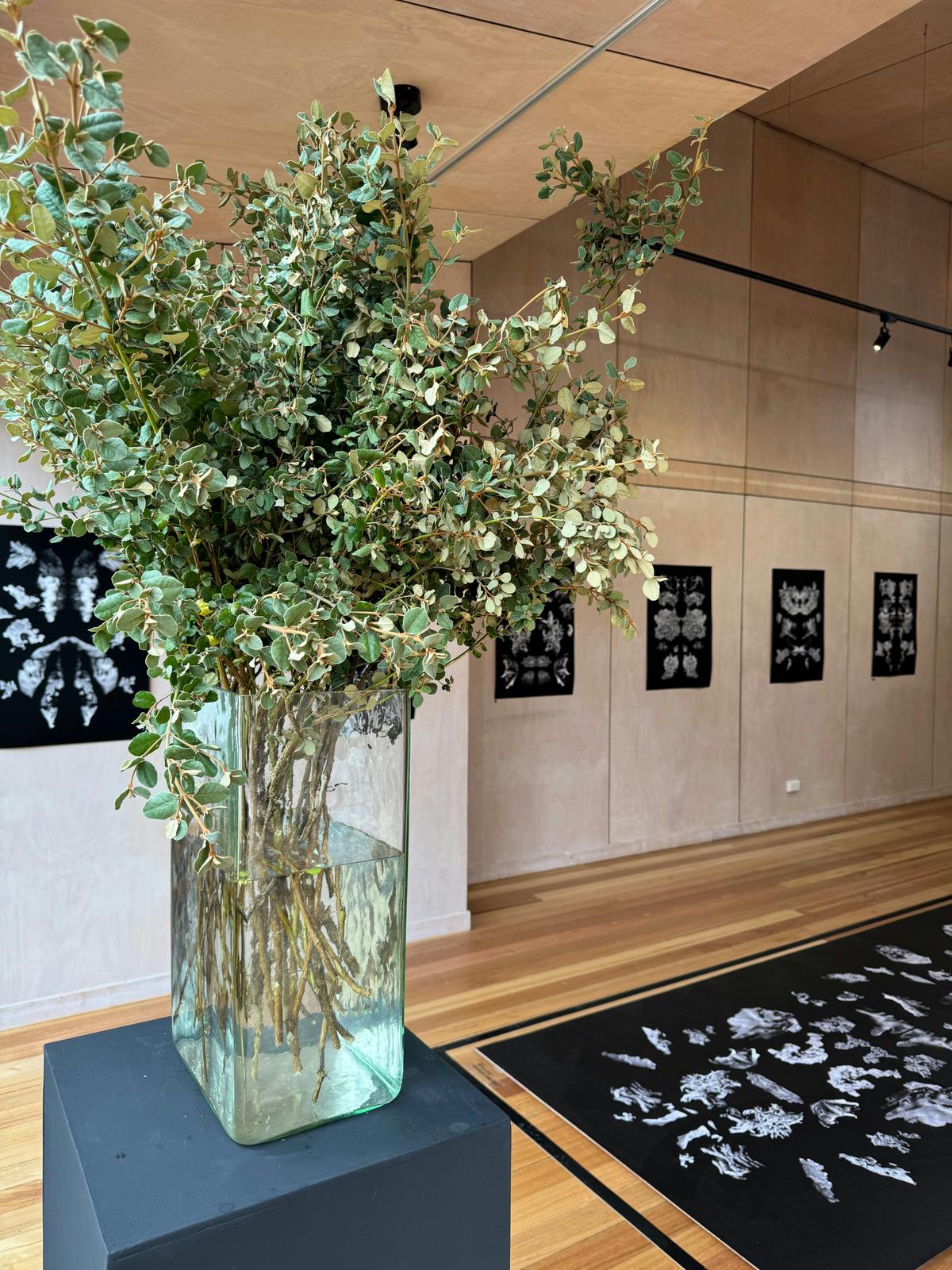 Bae Lawler Exhibition