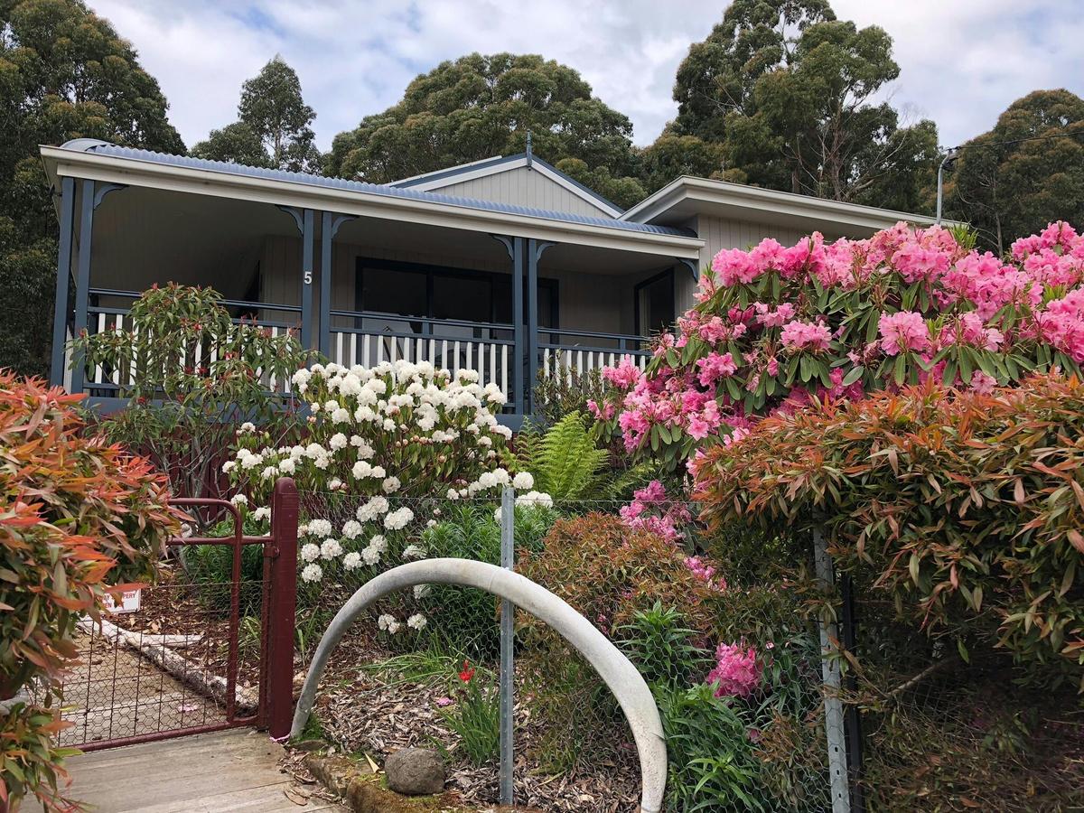 Holiday House